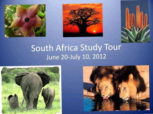Take an exciting study tour to West Africa