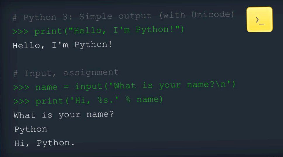 The basics of Python you need to know